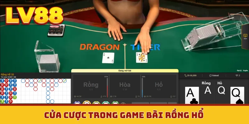 Cửa cược trong game bài rồng hổ