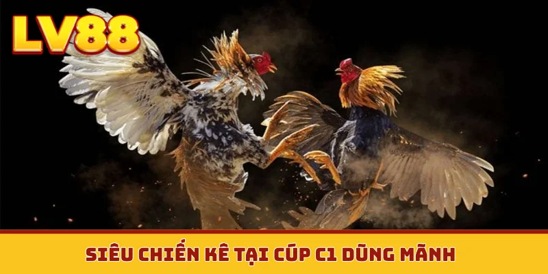 Siêu chiến kê tại cúp C1 dũng mãnh