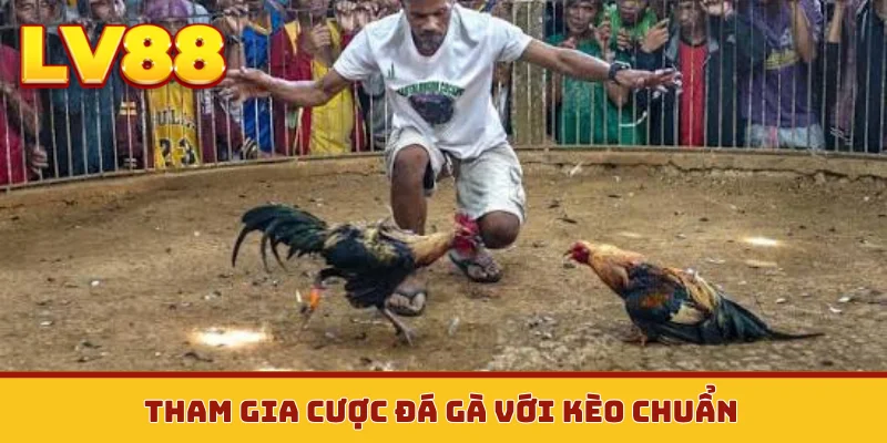 Tham gia cược đá gà với kèo chuẩn
